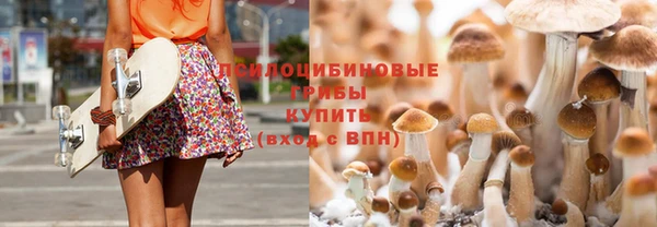 а пвп мука Дмитров