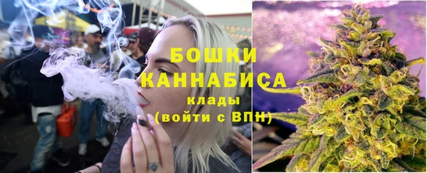 дмт Лабытнанги