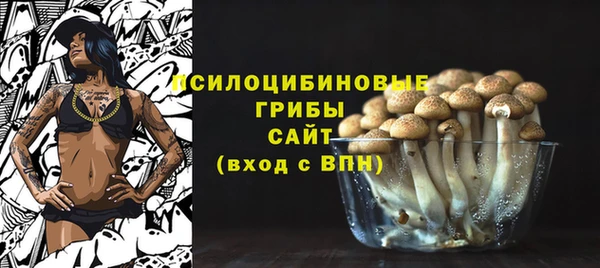 гидропоника Дмитровск