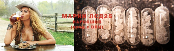 a pvp Дмитриев